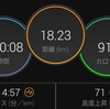 JOG 90分 1月の走行距離は236km