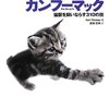  立ち読みした「カンフーマック」が欲しくなったのでO'Reilly Japan Ebook Storeで買ってみた