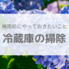 【掃除】梅雨前にやっておくこと①「冷蔵庫の掃除」