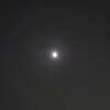 今夜の月