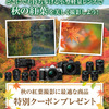 【10%OFF】OM SYSTEM MEMBERS対象 秋本番の紅葉撮影に使える特別クーポン配布中（〜11/18）