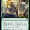 蛇皮のヴェールについて考える