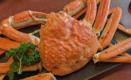 記事を見る