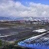 ハルピンラーメンを食べに長野県に行く（2日目）