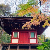 ホテルニューオータニの日本庭園と日比谷公園の紅葉パトロール 平日腰掛けolのメモ帳 ホテルニューオータニの日本庭園と日比谷公園の紅葉パトロール 平日腰掛けolのメモ帳