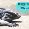 冬の終わりの動物園は楽しい！