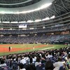 プロ野球観戦