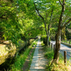 京都駅から哲学の道への最適なアクセス方法と周辺の見どころ