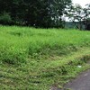 空き地草刈り