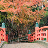 あられですが、初雪にはならず：古城公園