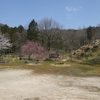 今週の風景