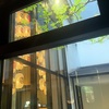 京都ブルーブックスカフェ。