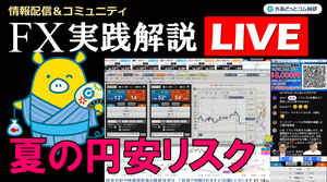  FX実践解説、夏の円安リスク高まる （2025年7月9日)