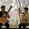 金属弦アイリッシュハープ＆ギター・デュオコンサート