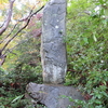 万葉歌碑を訪ねて（その１３７８）―福井県坂井市　三国神社裏桜谷公園―万葉集　巻七　一三六七