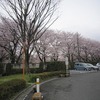 武蔵野大学_桜（西東京市）