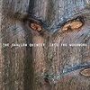 Into the Woodwork / Steve Quintet Swallow (2013/2016 ハイレゾ 88.2/24)