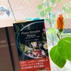 代々…引き継がれてきた未熟な価値観…反面教師として💫断ち切ることを楽しんでみたいと思います💐