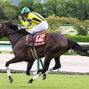 競馬初心者必見☆馬券予想🔥〜ローズS〜秋華賞へのメインステップ！！
