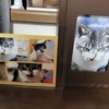 反省すべきこと