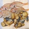 続・沖釣り（後日談）
