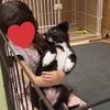 犬を迎えた家族