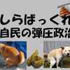 自民の”しらばっくれ”を辞書で調べた＝道ばたでうんこをしてしまった後の犬の表情みたいなもの