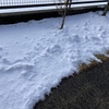 降りました！☆