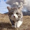 バランスの取れた改革を望む❗