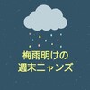 梅雨明けの週末ニャンズ