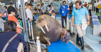 【写真大量】初めての三重観光ならココ！『鳥羽水族館』日本一位の飼育種類数！