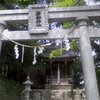 猪子山とハヤブサ