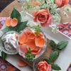 今日のRose＆Roseトリートメント