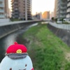 ネーム期間