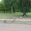 MBA留学　と　ロンドン旅行4日目（最終日）