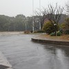 雨の一日