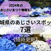 茨城県のあじさいスポット7選！2024年の紫陽花まつり情報も♪《随時更新》