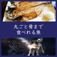 魚が高いと思わない なぜか ウチは１匹 740g で２食頂く よちよちエクスプレス