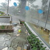 雨の日プロジェクト、開催中です