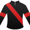 【2024年度】一口馬主　GIサラブレッドクラブ　厳選馬　３頭