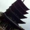 激綺麗！  五重塔！！   興福寺＠奈良市