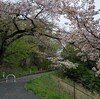 桜馬鹿～君よずっと幸せに3