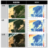 Python Google Earth Engine（GEE）を用いてNDVI（植生指数）を図示する