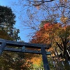 紅葉ハイキング③（日の出山&つるつる温泉）