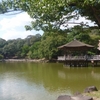 奈良公園に散策に行ってまいりました。