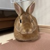 そろそろエアコンが常時起動