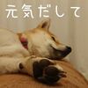 メンタルが壊れる音が聞こえた… 毎日ご飯