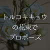 トルコキキョウの花束でプロポーズ！花言葉と贈る本数は何本？