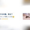 個人的に小さいけど嬉しいご報告🥲✨