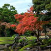 小石川後楽園の池の紅葉